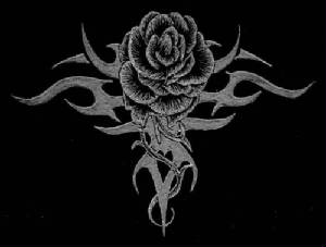 rose3.jpg