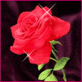 1011-008-79-1042.gif