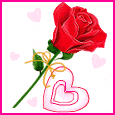 1036-033-02-1028.gif
