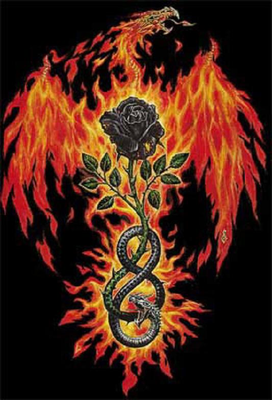 blackrose.jpg